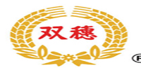 ˫��