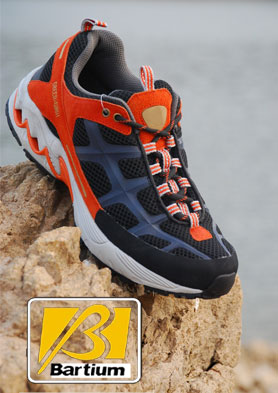 �͵ѣ�Bartium��ʱ�л���Ь������ȫ�����д��������� �������ߣ�13903009382