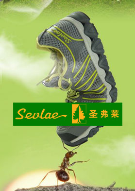 ʥ���������˶�Ь����Ʒ���� �������ߣ�400-005-9557