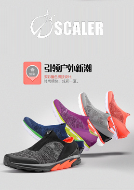 SCALER˼��������ʱ�У� �������ߣ�010-82841899