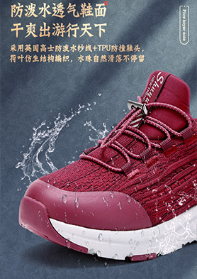 ��������ó�����޹�˾��������Ь����֧�� �������ߣ�020