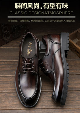 ������������ �������ߣ�020-38781688