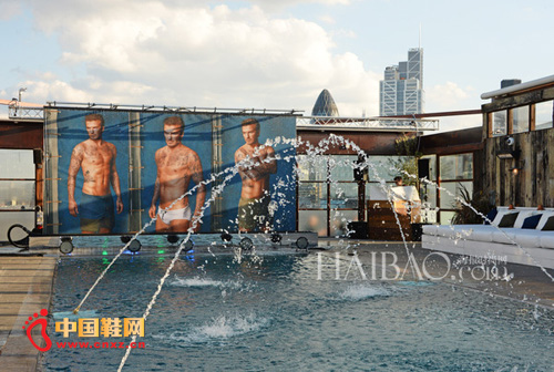 ���˺�ķӾװϵ��