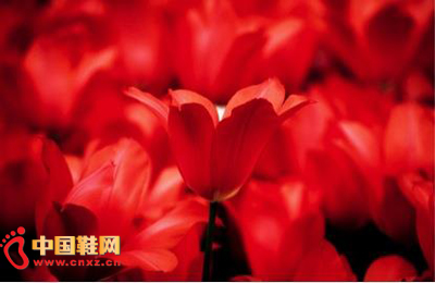 ����ͷ��ľЬ ̧��������