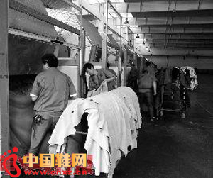 �㽭ʡ�������ġ���ˮ���Ρ����Ųɷ����վ����