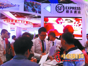 ˳�������ھ������ڼ�����ֳ�չʾ