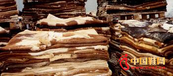 ӡ��Ƥ�������8�½��������ɹ�ԭ��Ƥ