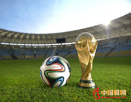 ����ȫ�򻯡���2014�������籭��ֵ���ڣ�