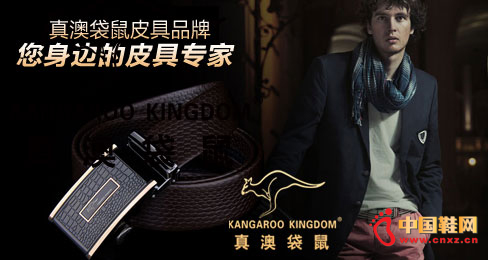 ��Ĵ���Ƥ��Ʒ��