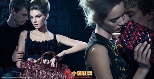 ��������Ƭ