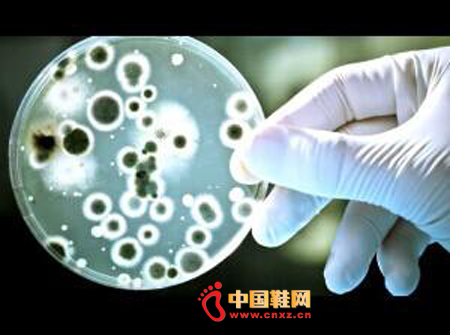 Ь�����΢���� 