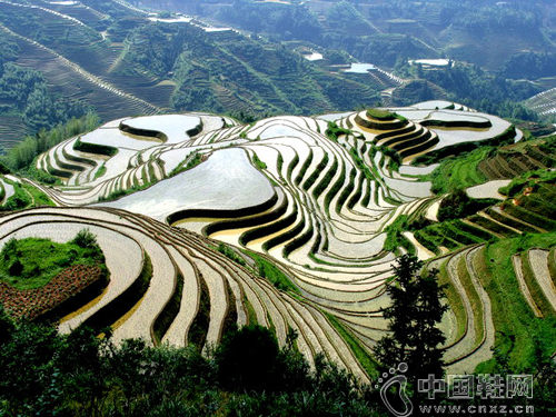 ��������ȫ�¹���