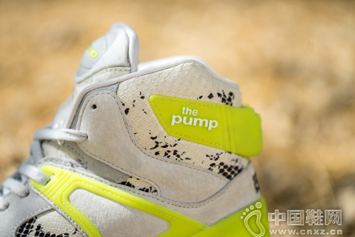 Kasina �� Reebok Pump 25������������Ь��
