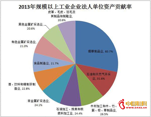 2013���ݹ��� Ƥ����ҵ�ʲ������ʾ�ǰʮ