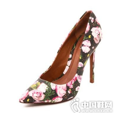 Schutz Gilberta ����ӡ��ǳ��Ь