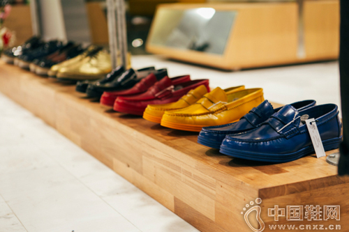 VANQUISH ���ȵ�