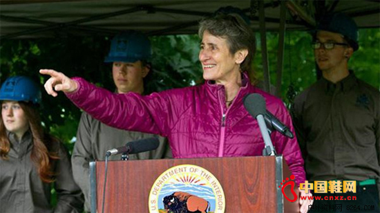 ����.������������������һ���ڻ��⾭�õĻ��������ݽ�