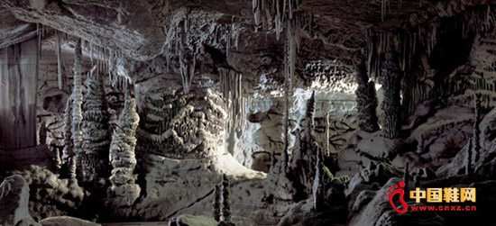 �¹���Ӱʦ����˹��������(Thomas Demand)2006�����Ʒ����Ѩ��