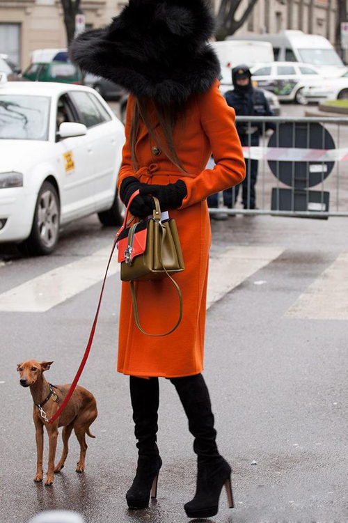 ���Ĳ�ֹ������Ʒ �ȳ���������ؼ�