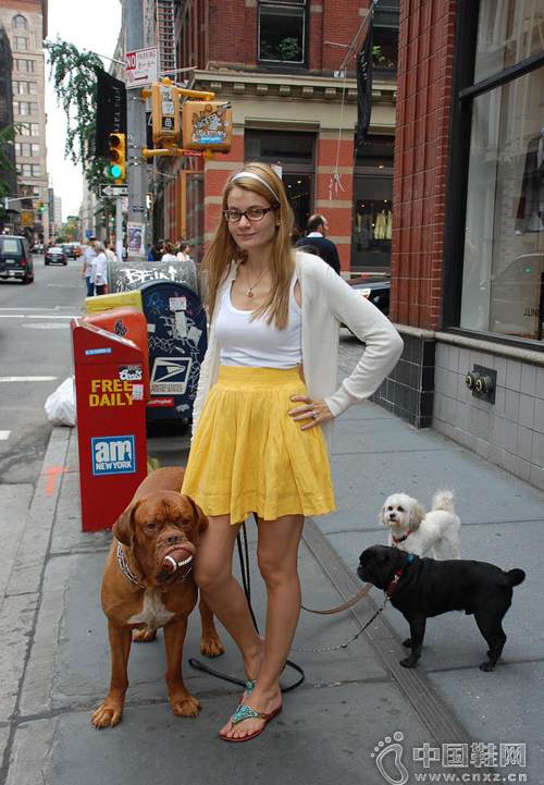 ���Ĳ�ֹ������Ʒ �ȳ���������ؼ�