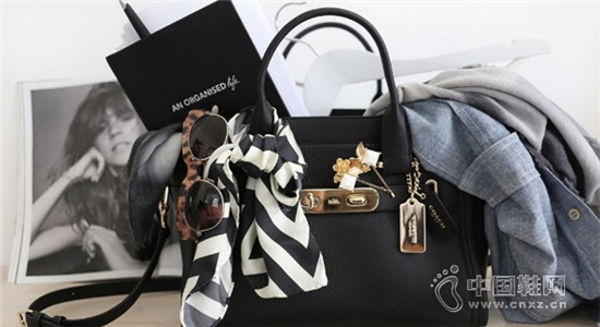 COACHʱ�������ط���è