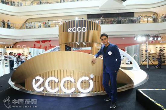 ECCO����������