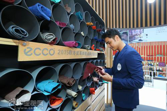 ECCO����������