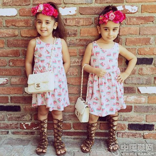 ����˫��̥���ͽ���