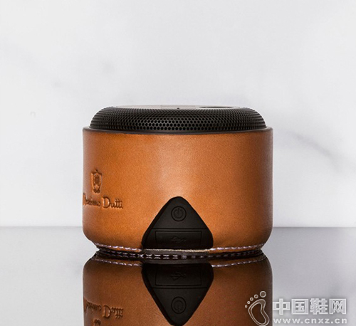 BLUETOOTH &reg; (����)����BSP10