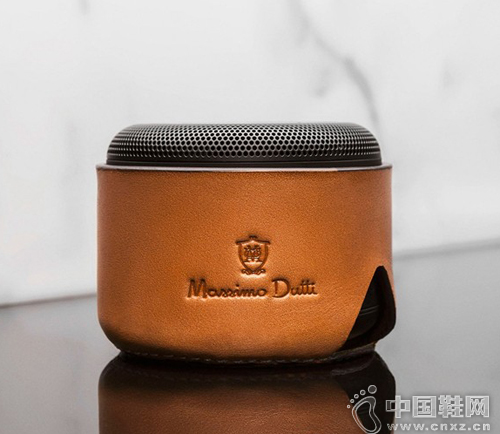 BLUETOOTH &reg; (����)����BSP10