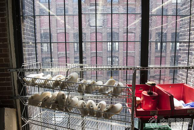 һ˫NB�˶�Ь������Ƴɵ�