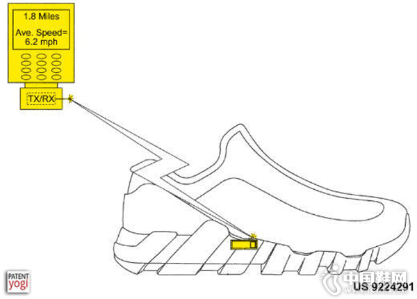 ����Ԫ��ֲ���˶�Ь��