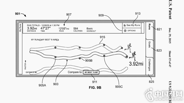 ����Ԫ��ֲ���˶�Ь��