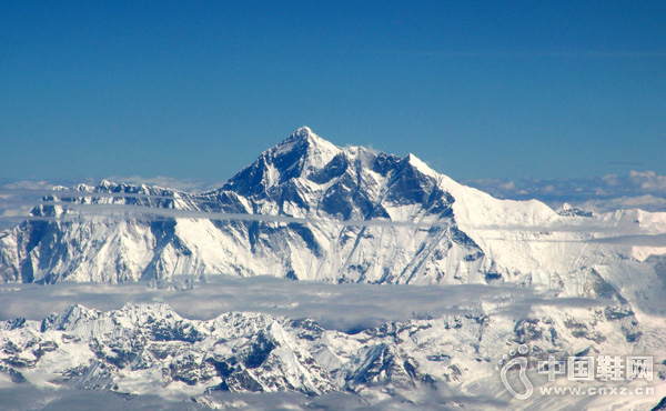 �����߸�̾33���𲽼۵ǲ������