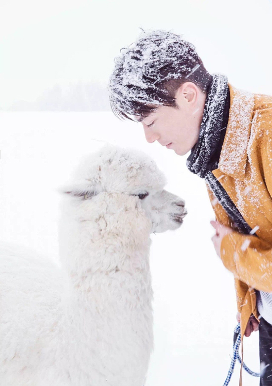 ��������������Ƭ