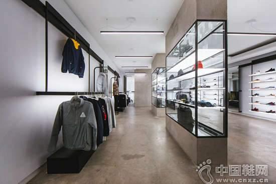 Livestock Roncesvalles