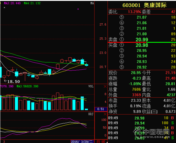 �¿�����