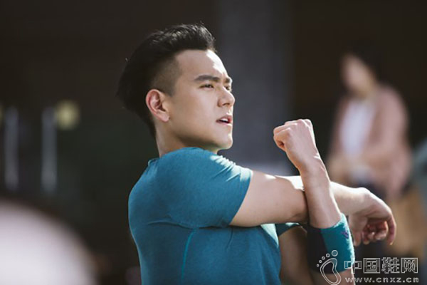 ������ʾ��ȫ�� Pure Boost ZG Mesh ��Ьϵ��