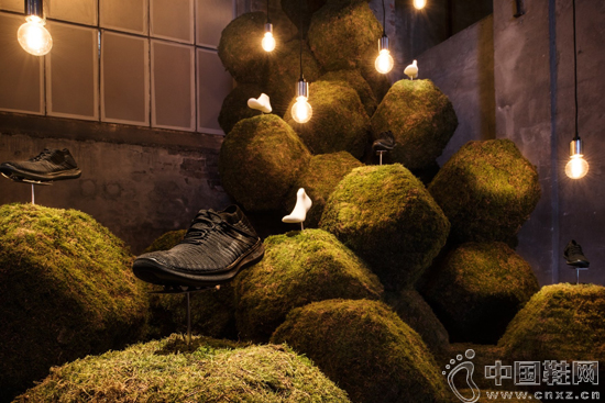 The Nature of Motion