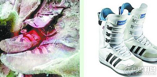 ����17������ý��ƣ�����ѧ�����ɹŰ���̩ɽ��һ��Ĺ�ط��ֵ�һ�߹Ŵ�ľ���������˺䶯����Ĺ���������ֵ��׸��������������˵����� Ĺ�ء���Ȼ�������ش��ѧ���֣�������Ҫ���ǣ���ľ����������Ь���˰��ϴ�˹Ь���⵼�������쿪�������Ʋ��������ڻ����ʱ�����е�ʵ֤��