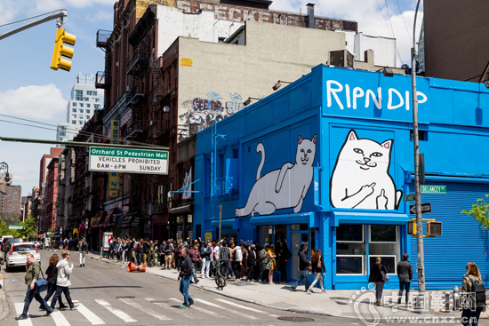 RIPNDIP ŦԼ�޶���