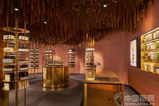 Aesop �¼��µ�