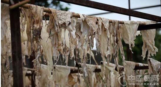 Ƥ������