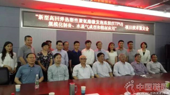 ���͸߻ص�Ь���������Ծ۰���΢��������(ETPU)�������