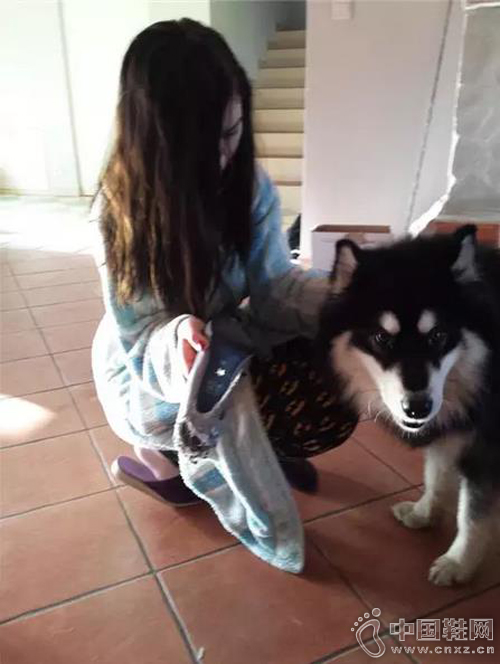 ���¸߸�Ь������ �������ʦ�Զ���