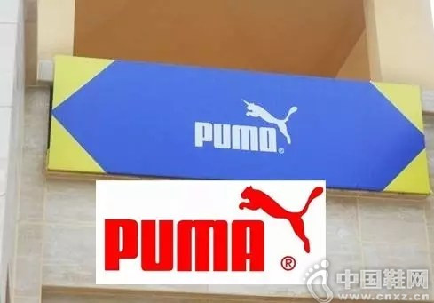 puma���pumo