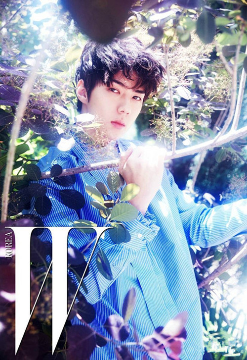 ���������������� ֻ��˧��������ѫ