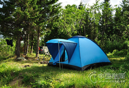 ����������������գ�