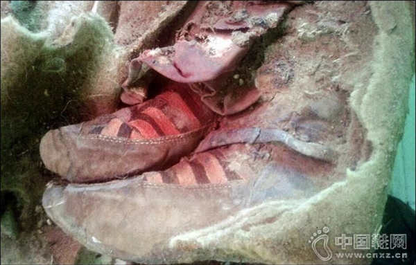 ľ�������ƴ��š����ϻ�ѩЬ��