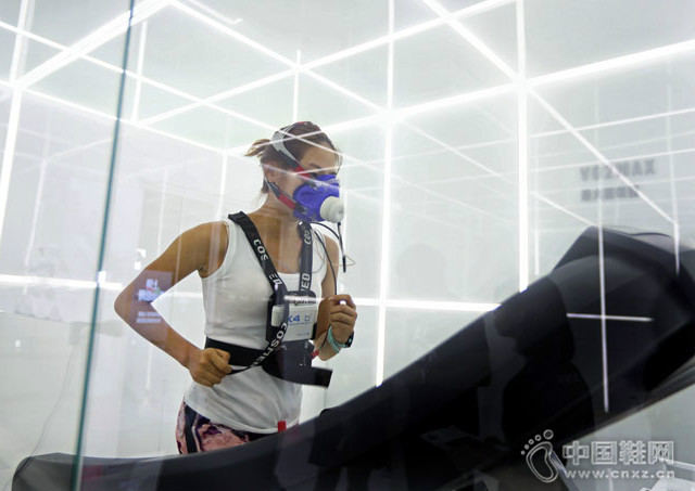 VO2Max�������������